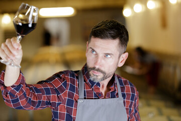 Naklejka premium winemaker tasting red wine in cellar