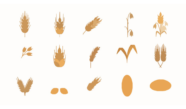 Flat grain icon set with wheat barley oat and malt for organic food bakery agriculture vector collection