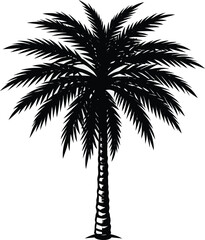 Obraz premium A detailed, high-contrast illustration of a palm tree against a stark white background. The palm tree is the central subject, depicted in black ink, featuring intricate details of the fronds and trunk