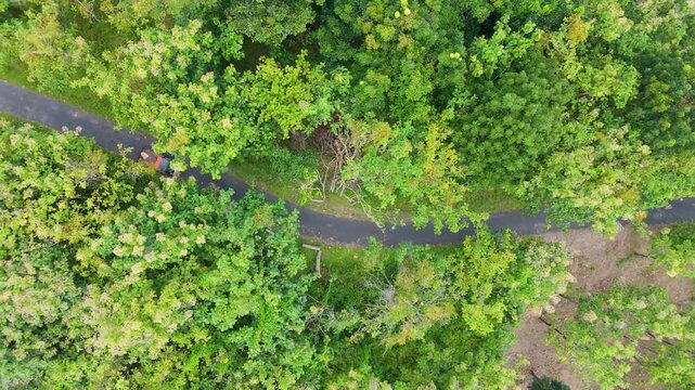 Nadir aerial perspective showing a stark contrast between a dense forest canopy and a geometric pattern of agricultural fields.