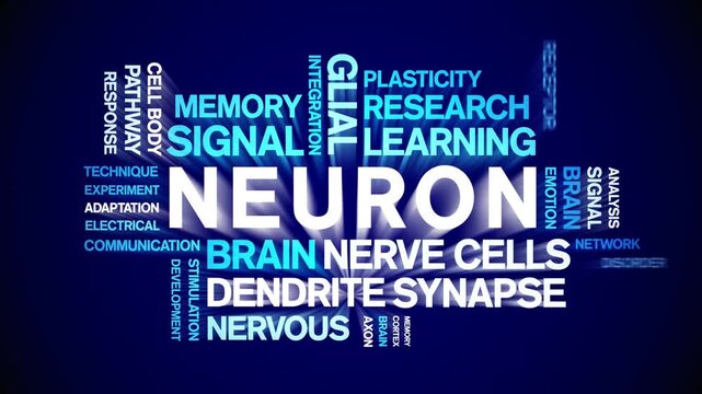 Neuron animated word cloud-text design animation tag kinetic typography seamless loop.