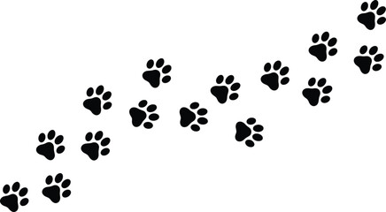 A trail of animal paw prints on a white background possibly from a dog or cat leading upwards to the right side © MdZamirul