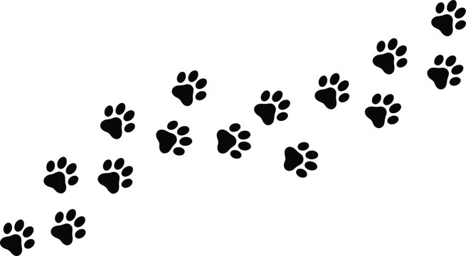 A trail of animal paw prints on a white background possibly from a dog or cat leading upwards to the right side