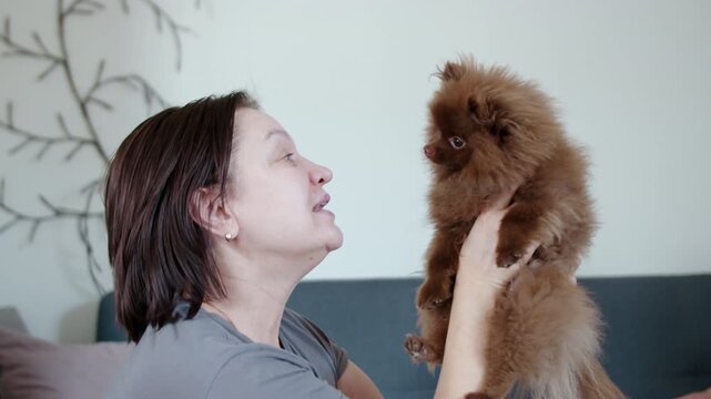 Woman lifting brown pomeranian dog and looking at it at home
