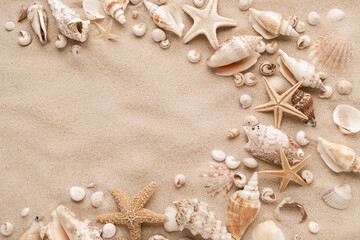 Fototapeta premium Exotic collections of white and beige seashells and starfish on sand background for aesthetic summer and vacation card. Flat lay style