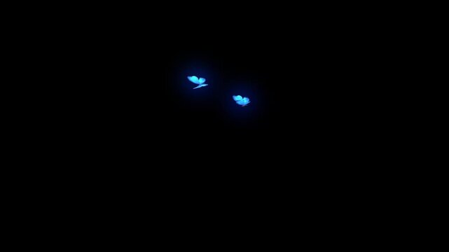 night glowing butterfly flying on sky Housefly Mosquitoes Swarm of flies bee flying 3d animation Green Screen Chroma Key Alpha Channel. 4k Video