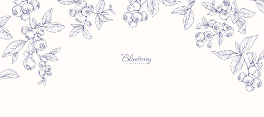Background with blueberry berry and brunch. Detailed hand drawn ink floral illustration for invitation, wallpaper art or save the date card © merfin