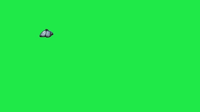 butterfly flying on sky Housefly Mosquitoes Swarm of flies bee flying 3d animation Green Screen Chroma Key Alpha Channel. 4k Video