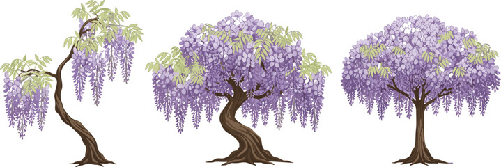 Cartoon wisteria trees illustration with purple flowers and twisted trunks symbolizing nature, garden, and ornamental design © MSTSORIFA