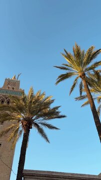 Koutoubia Mosque tower surrounded by palm trees in Marrakesh