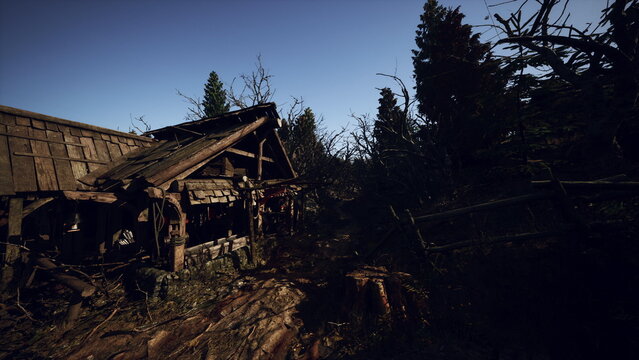 abandoned wooden farmhouse at dusk, overgrown yard and collapsed roof surrounded by wild vines and tall grass, weathered siding and broken porch create haunting