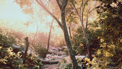 In a serene forest, warm sunlight cascades through the vibrant green canopy. A peaceful pathway winds through the trees, inviting exploration and reflection in natures embrace. © icetray