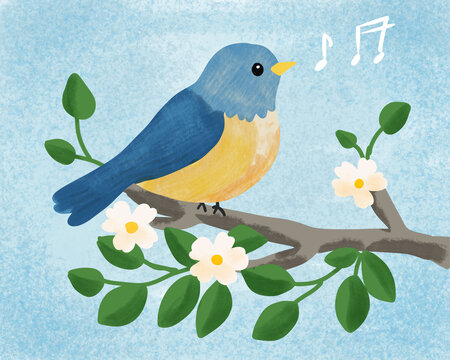 Blue bird singing on spring flower branch illustration