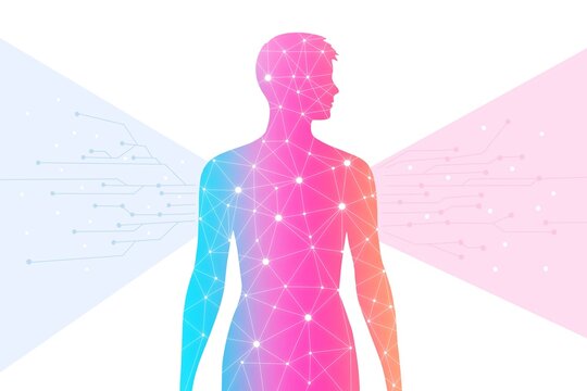 Human silhouette with digital network and gradient color concept