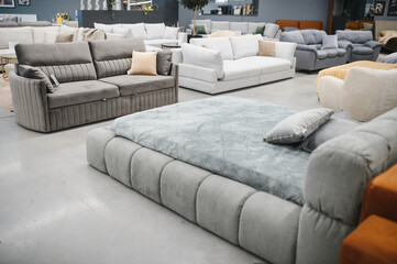 Furniture store interior offering modern sofas and couches