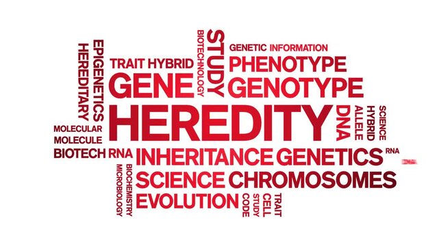 Heredity animated word cloud-text design animation tag kinetic typography seamless loop.