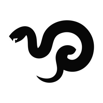 Snake Animal Reptile