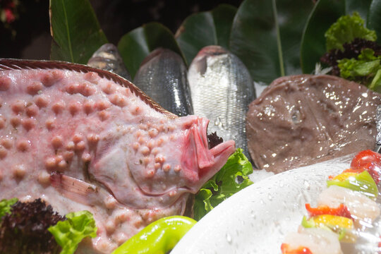close up of raw black sea kalkan, monkfish and chilled fish for sale or cookingclose up of raw black sea kalkan, monkfish and chilled fish for sale or cooking