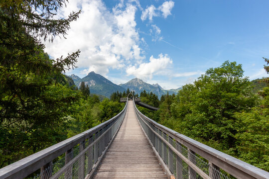 Scenic view of the wooden Baumkronenweg treetop walkway leading towards majestic Alpine mountains under a blue sky near Fussen