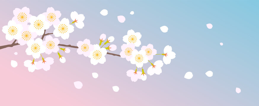 花びらが舞う桜の枝の背景イラスト素材 ベクター 春 