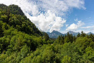 Scenic mountain landscape at the border of Germany and Austria near Fussen, featuring lush green coniferous forest © virin