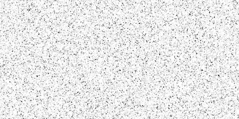 Obraz premium Minimalist white background with dense fine black speckles, terrazzo flooring texture polished stone, organic grain texture, random noise pattern, soft contrast, clean and modern abstract surface.
