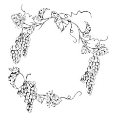 Circular grapevine wreath frame with flowing tendrils, leaves and ripe grapes hand drawn in fine ink lines. Vector botanical illustration. Winery logos, drink labels, degustation event invitations. © Elena
