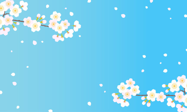 花びらが舞う桜の花の背景イラスト素材  ベクター 春 青空