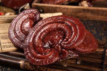 Lingzhi reishi mushrooms representing traditional chinese medicine health tonic