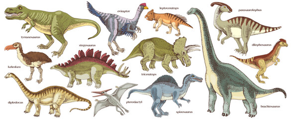 Dinosaurs hand drawn vector collection © Marina Gorskaya