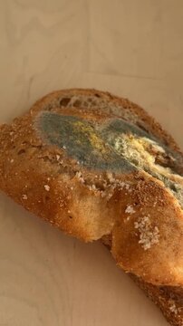 Moldy bread with colorful fungal growth on slices of rustic bread on a wooden surface
