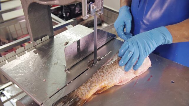 Fish Filleting with Band Saw in Food Production. Worker Cutting Fresh Fish with Band Saw in Factory