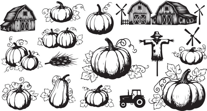 Black and white autumn farm illustration with pumpkins and scarecrow