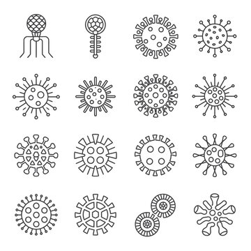 Line art illustrations depicting various virus structures and cellular components