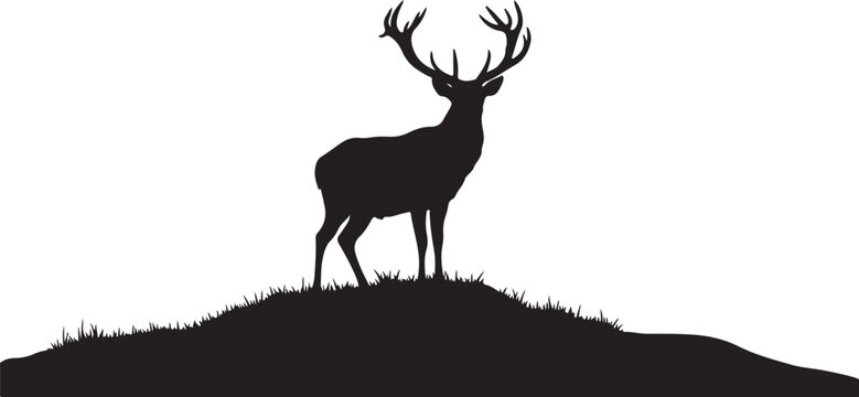 Majestic deer silhouette standing on a hill at sunset