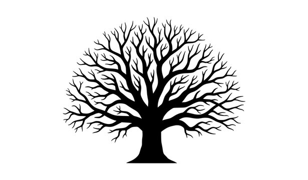 Dry tree silhouette spooky dead tree with spreading branches black vector illustration isolated on white background
