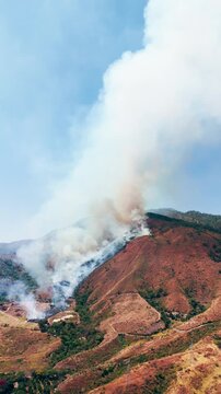 Aerial view of a wildfire burning on a hillside, creating a large column of smoke and pollution