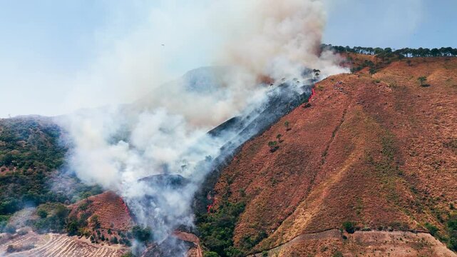 Huge wildfire burning on a hill, creating a thick smoke plume that rises into the blue sky