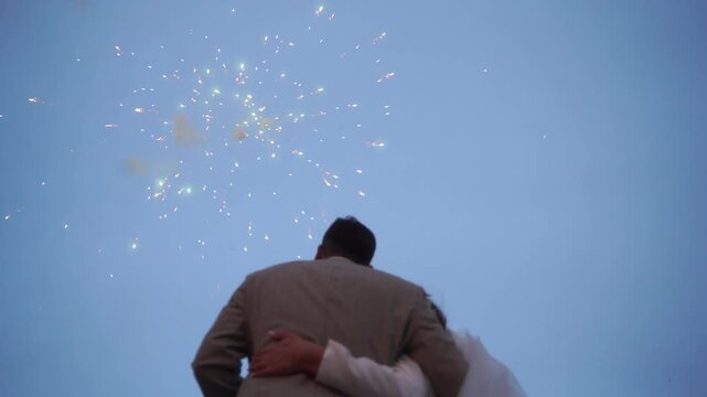 Night evening is the background. The general plan for the belt. At the wedding, guests and newlyweds see a beautiful salute in the sky. The bride and groom with relatives and friends
