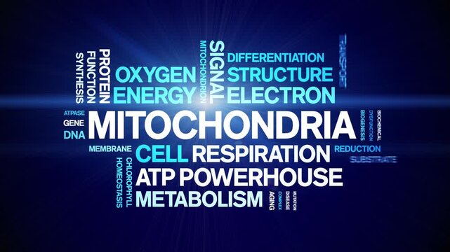 Mitochondria animated word cloud-gross domestic product animation tag kinetic typography seamless loop.