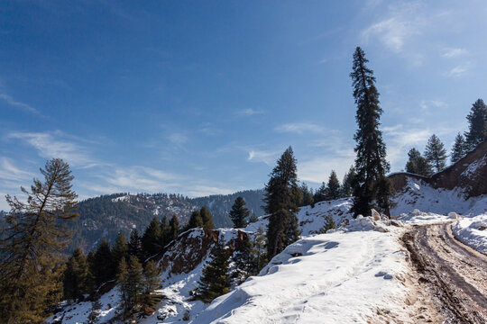 View of a rugged, snowy path winds through a landscape, flanked by tall, dark green trees against a bright blue sky, Bagh, Azad Kashmir, Pakistan.