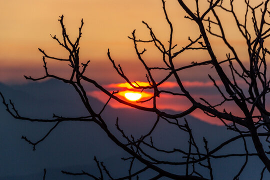 View of a fiery sun setting behind hazy mountains framed by intricate bare branches creating a silhouette against the warm sky, Pir Chanasi, Azad Kashmir, Pakistan.