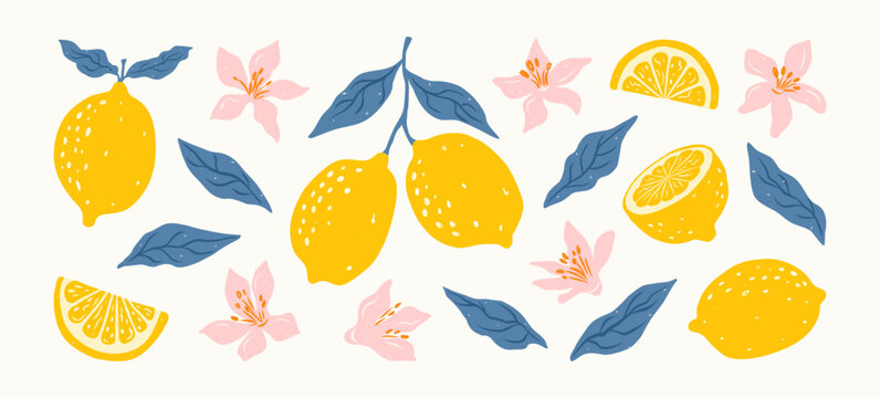 Hand drawn lemon citrus fruits with leaves and flowers in blue and yellow colors. Italian style. Summer Amalfi design for pattern, poster, card, cover. Vector mediterranean botanical illustration.