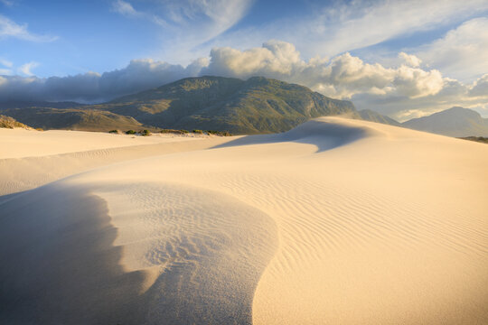 View of undulating white sand dunes flowing under a dramatic sky, contrasting with the dark, brooding mountains in the distance, Betty's Bay, South Africa.