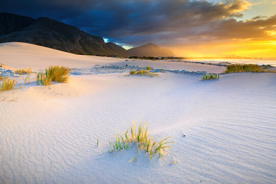 View of golden sunlight kissing the white sands and silhouetting the distant mountains under a dramatic sky, Betty's Bay, Western Cape, South Africa.