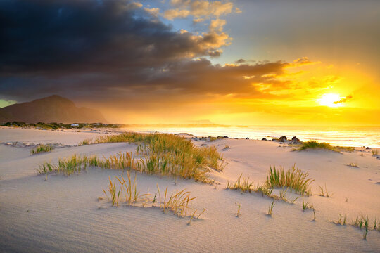 View of golden sunlight kissing the white sandy beach and the grassy dunes under a dramatic sky, Betty's Bay, Western Cape, South Africa.
