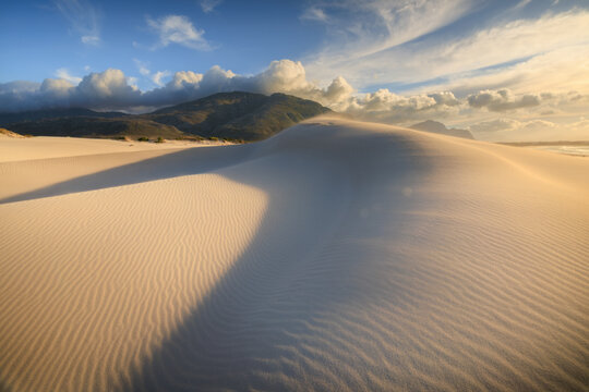 View of windswept dunes of pale sand ripple towards distant mountains under a sky brushed with clouds and golden light, Betty's Bay, South Africa.