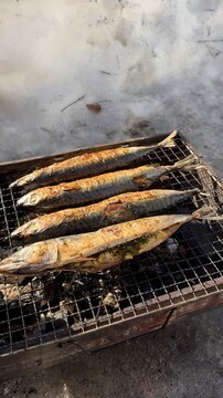 the process of roasting juicy and spiced fresh mackerel on a grill, mackerel on coals on a grill recipe