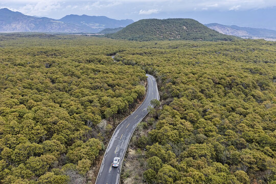 Aerial view of a lone white car winds its way through the lush, dense forest towards the distant volcanic cone, Tengchong Volcanoes, Yunnan, China.