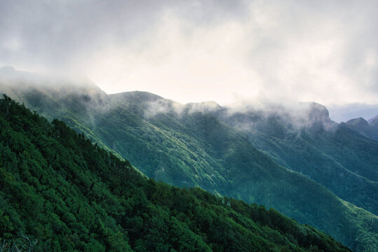 Idyllisches Gebirge in Teneriffa mit Nebelschwaden 